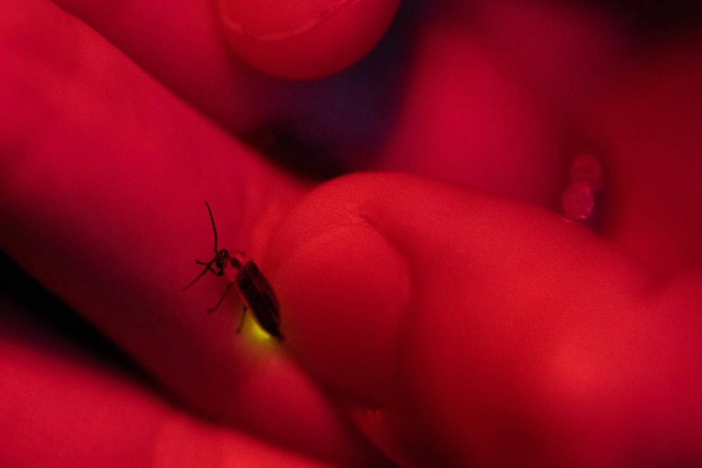 Ô nhiễm ánh sáng