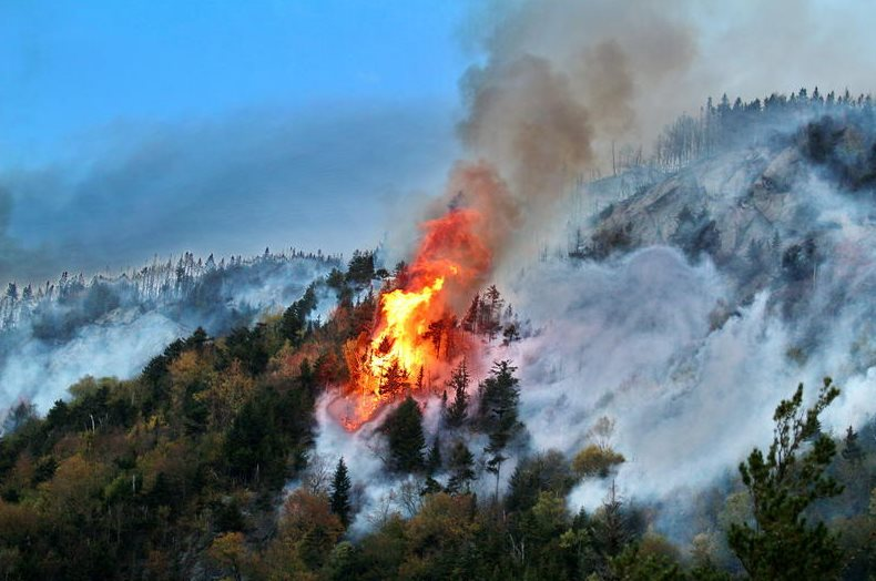 Ô nhiễm không khí do hỏa hoạn có liên quan đến hơn 1,5 triệu ca tử vong mỗi năm