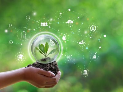 Một số vấn đề về môi trường ở Việt Nam hiện nay – thực trạng và giải pháp